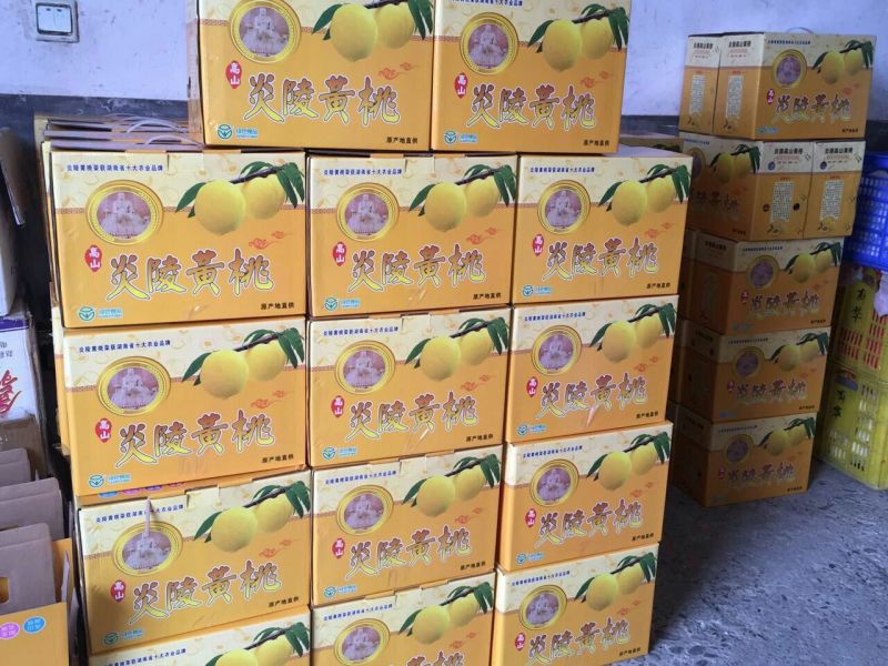 炎陵早熟黄桃三两以上