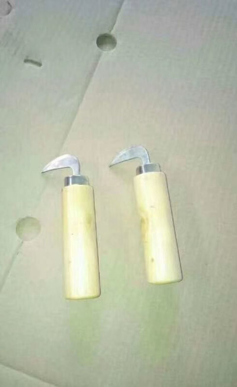 陕西秦岭野生青皮核桃现货供应一件代发诚招