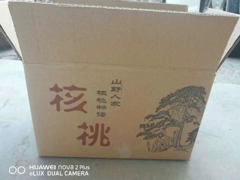 陕西秦岭野生青皮核桃现货供应一件代发诚招