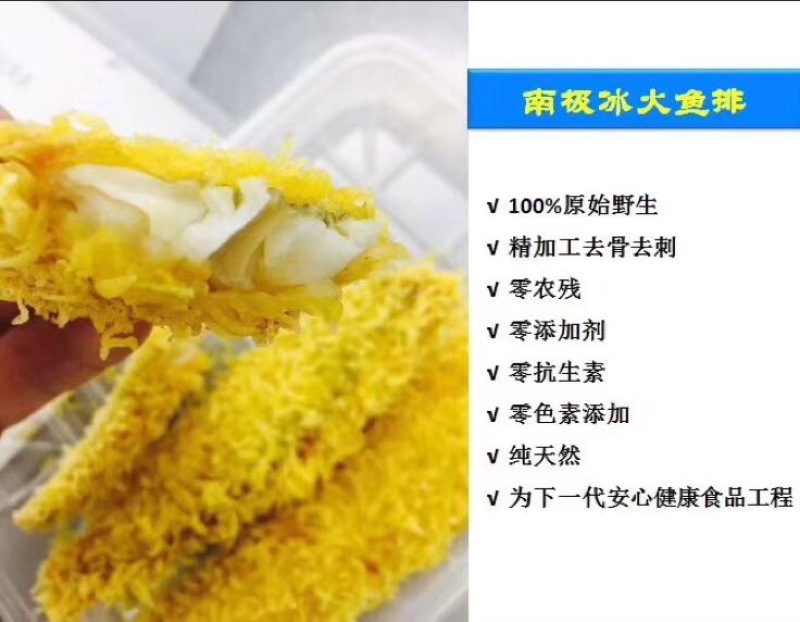 南极冰鱼