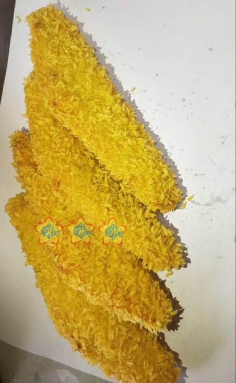 南极冰鱼