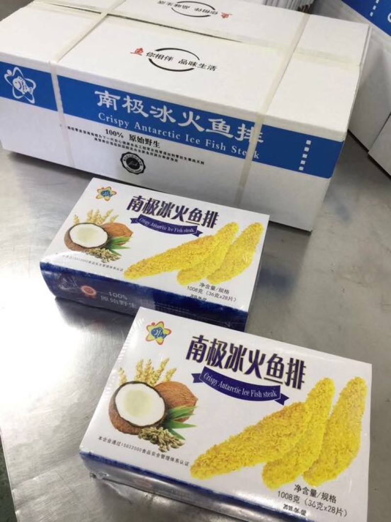 南极冰鱼