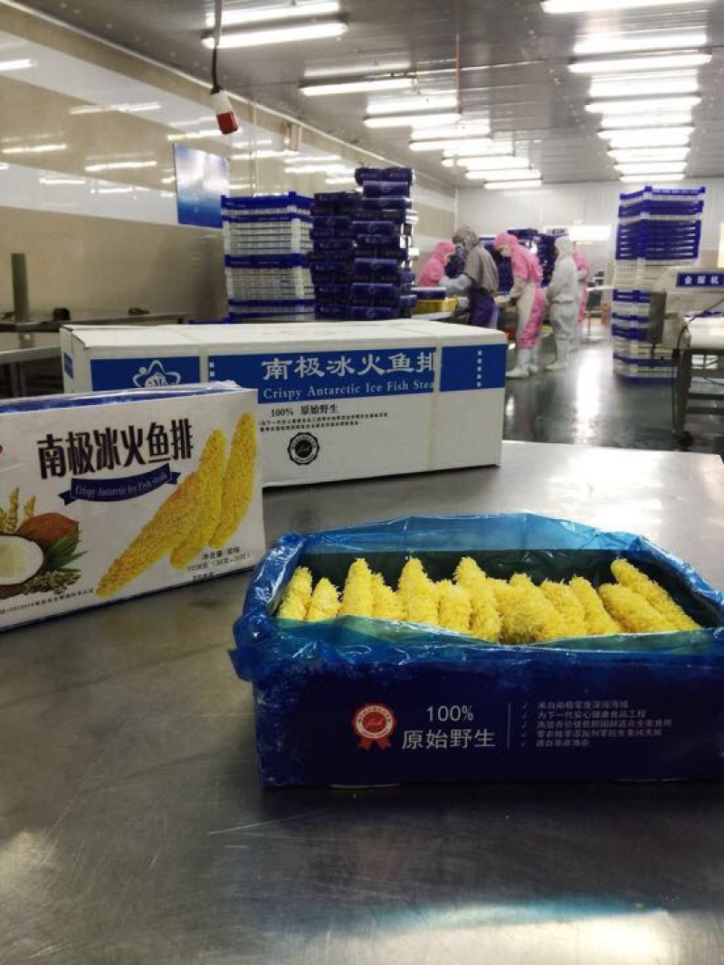 南极冰鱼