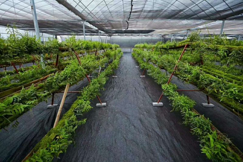 PE材质除草布0.6米宽500米长