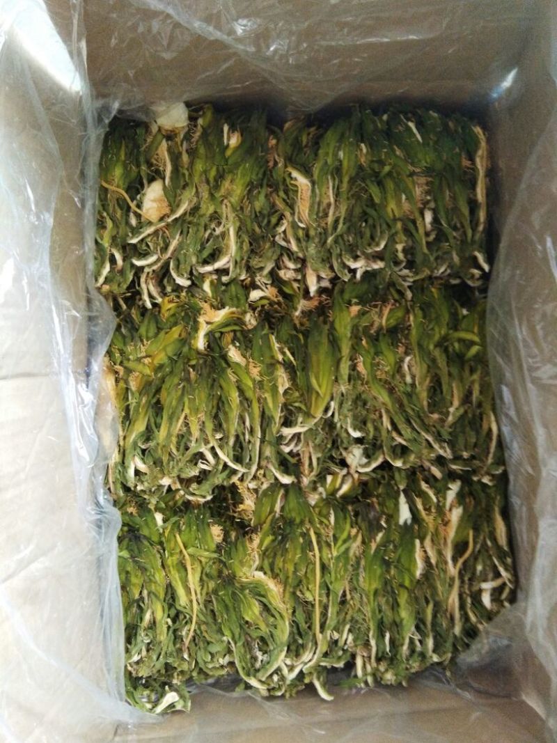 剑花