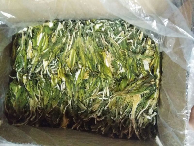 剑花