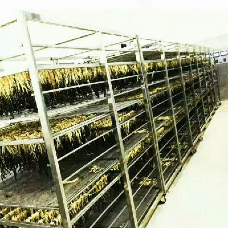 顶级无沙白菜干