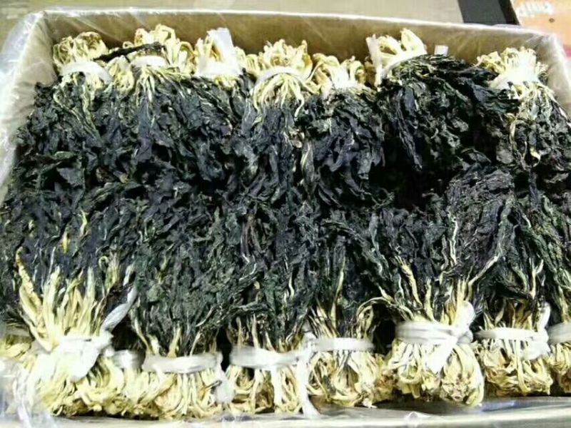 顶级无沙白菜干