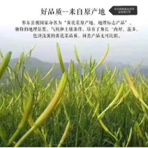黄花菜