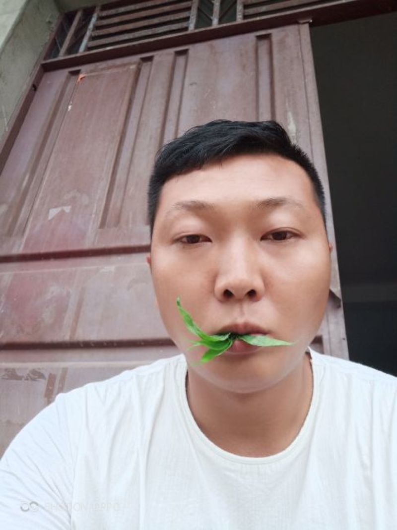 忧遁草🌷养生野菜❤详情可以上百度