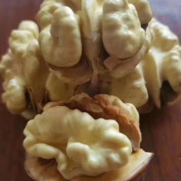 大优核桃大量批发