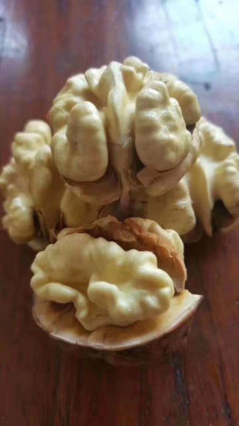 大优核桃大量批发