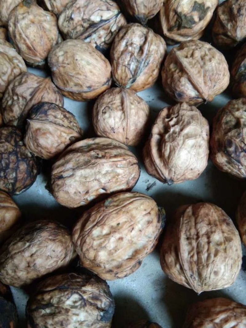 大优核桃大量批发