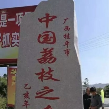 荔枝1.5~2cm