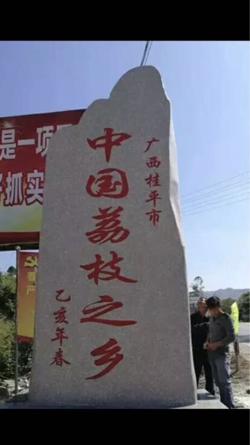 荔枝1.5~2cm