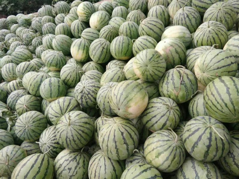8424大量上市，龙卷风大量上市有需要