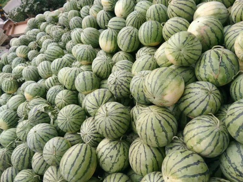 8424大量上市，龙卷风大量上市有需要