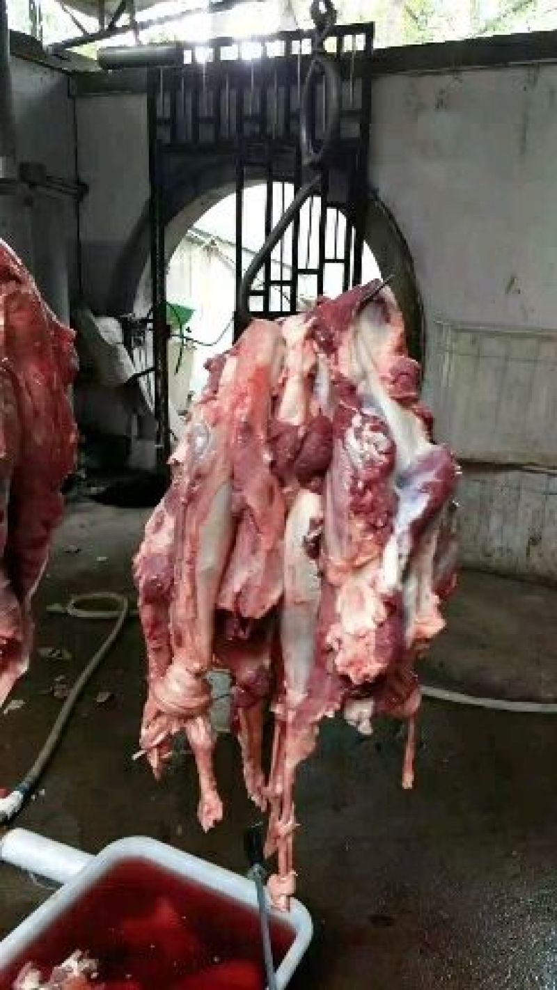 驴肉