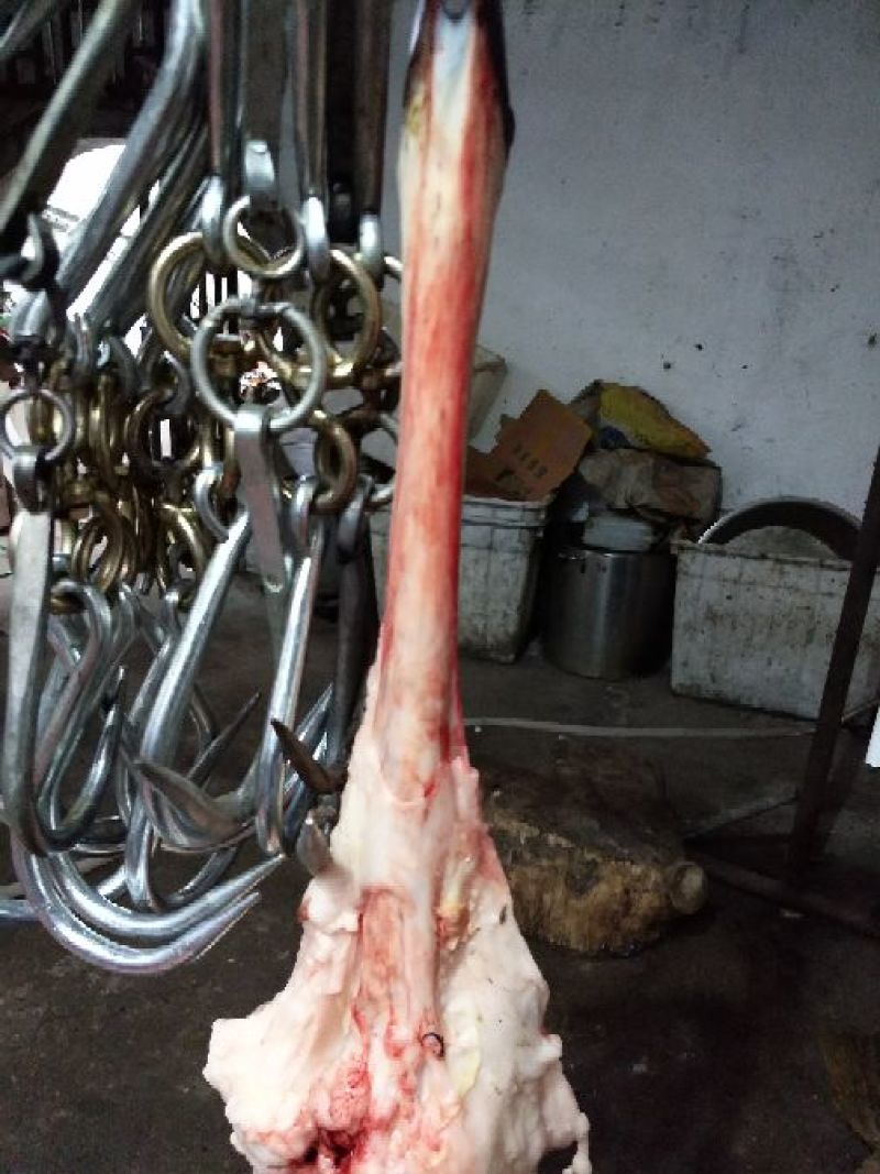驴肉