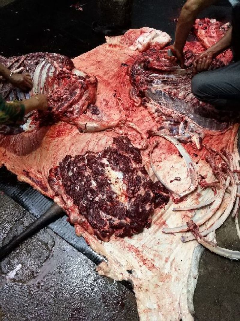 驴肉