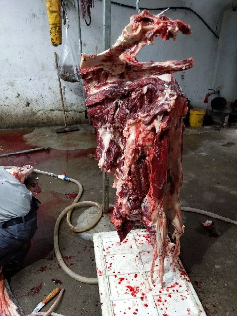 驴肉