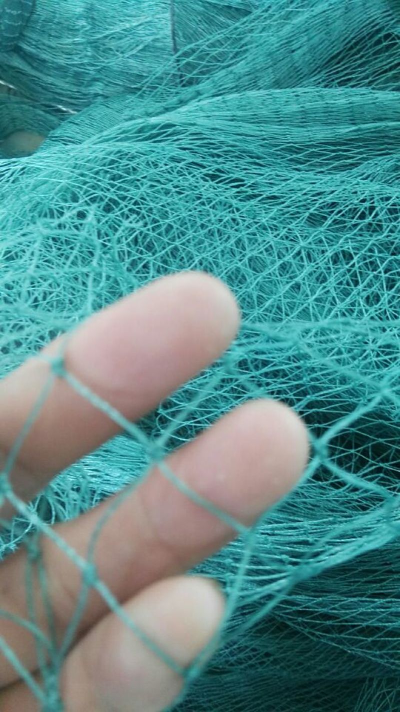 爬藤网防鸟网菊花网防逃网拉网网箱养殖网网