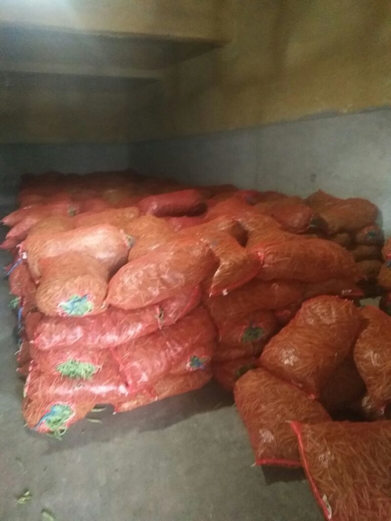 万亩刀豆基地