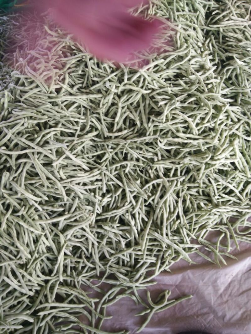 万亩刀豆基地