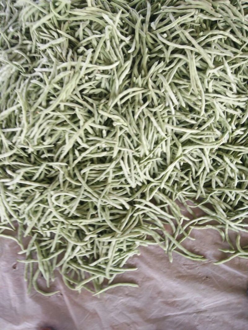 万亩刀豆基地