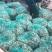 白螺食用鲜活0.4只/kg以下
