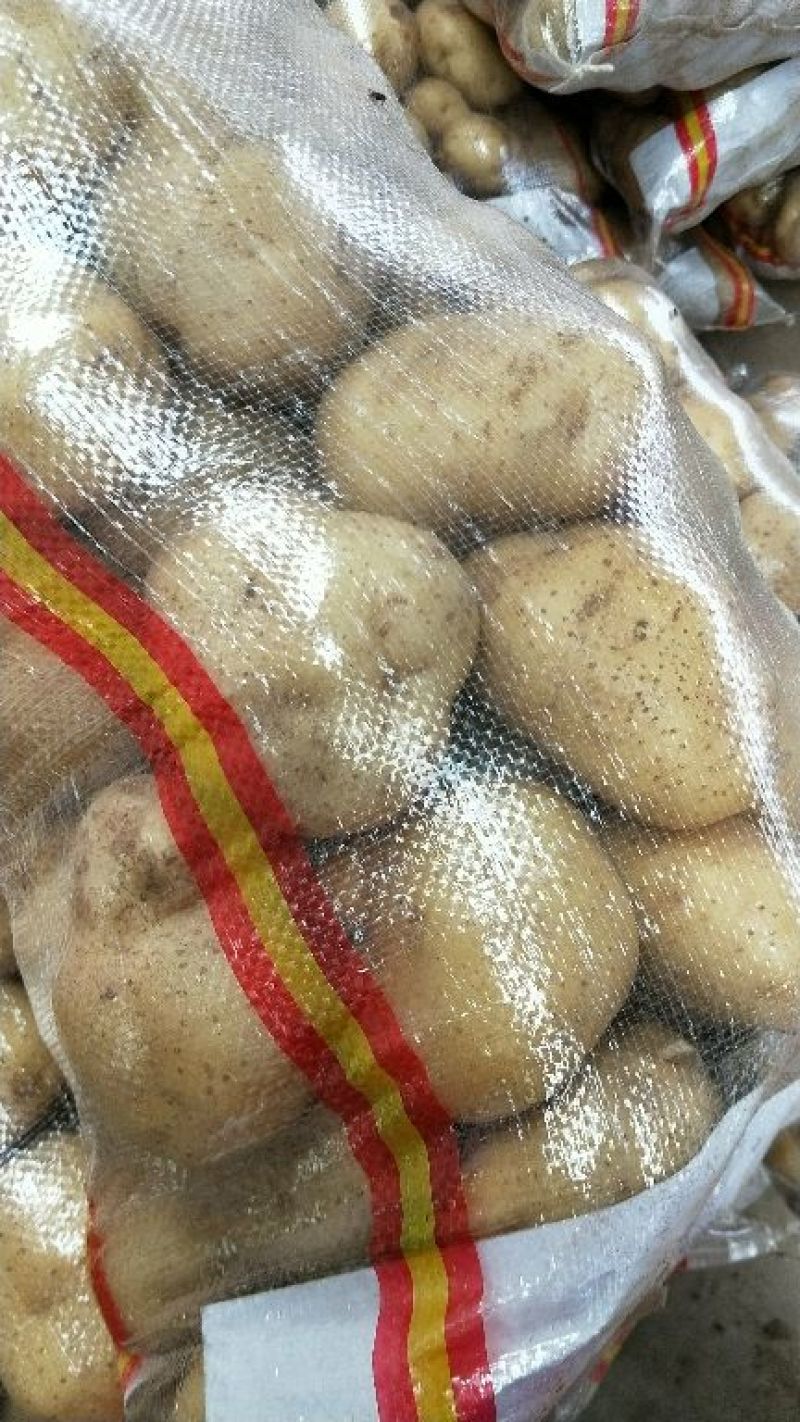 土豆