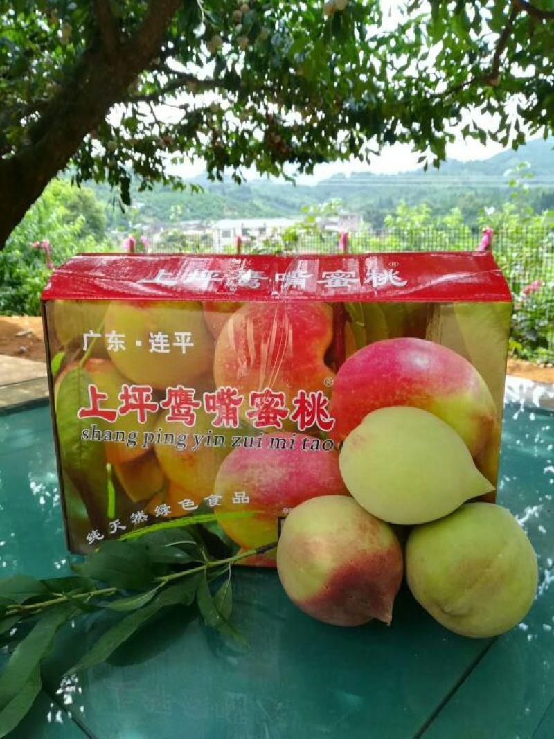 正宗河源连平鹰嘴水蜜桃