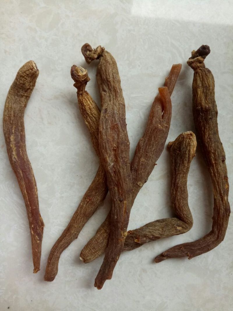 红参个子东北无糖无硫干货一斤起包邮量大从优