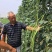 翠绿色豆角种子豇豆种子颜色好无鼠尾不鼓籽品质优