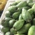仙人掌果1~2两以上