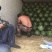甜王西瓜10斤打底9成熟1茬