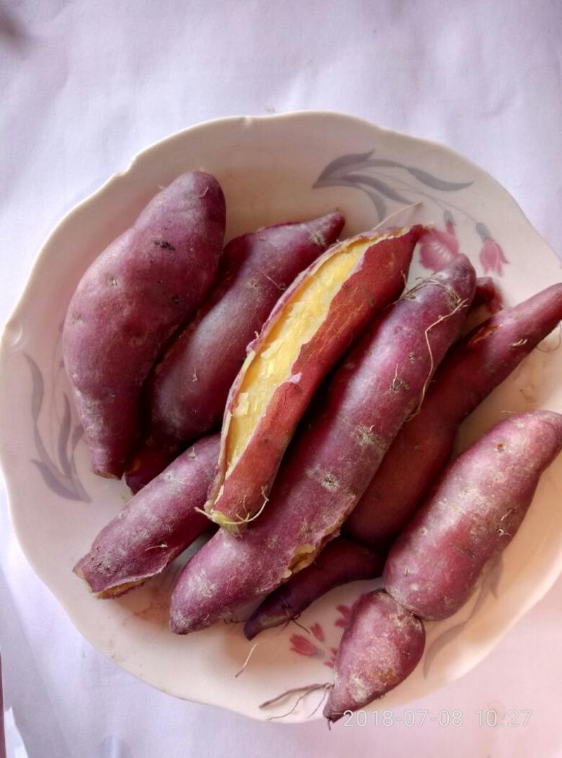 天目小香薯2两以上小红薯黄心
