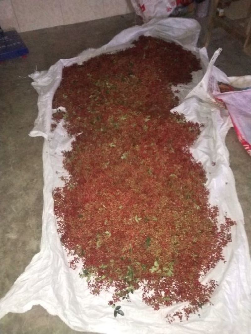 鲜花椒干花椒
