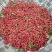 鲜花椒干花椒
