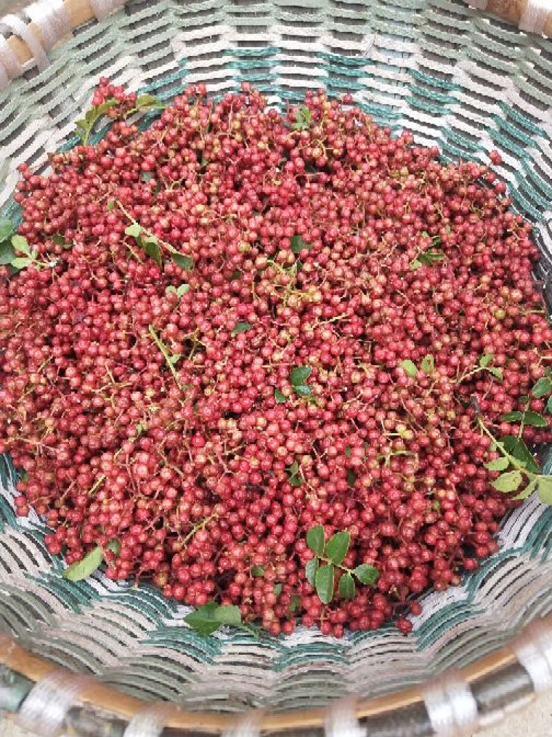 鲜花椒干花椒