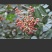 鲜花椒干花椒