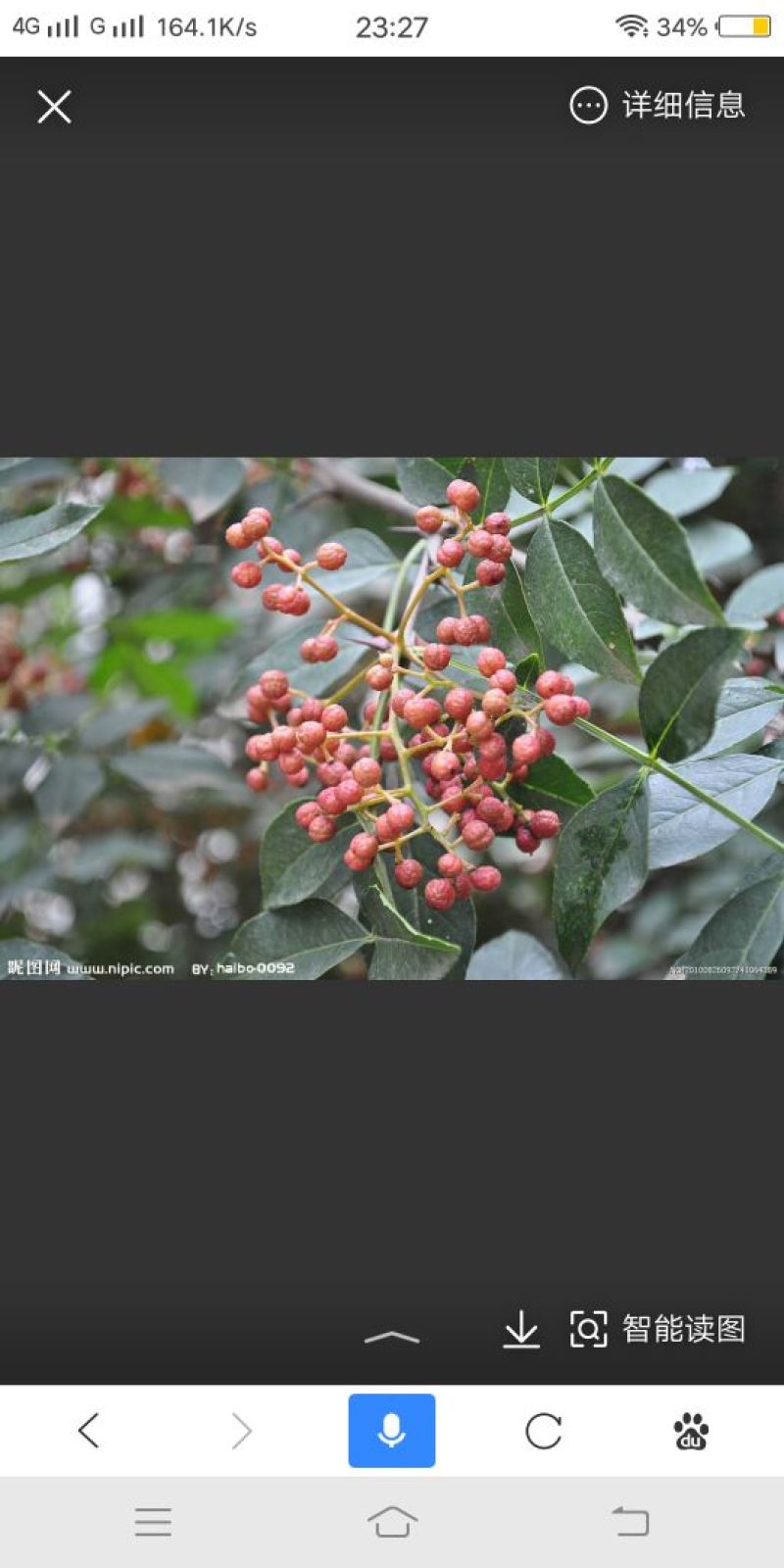 鲜花椒干花椒