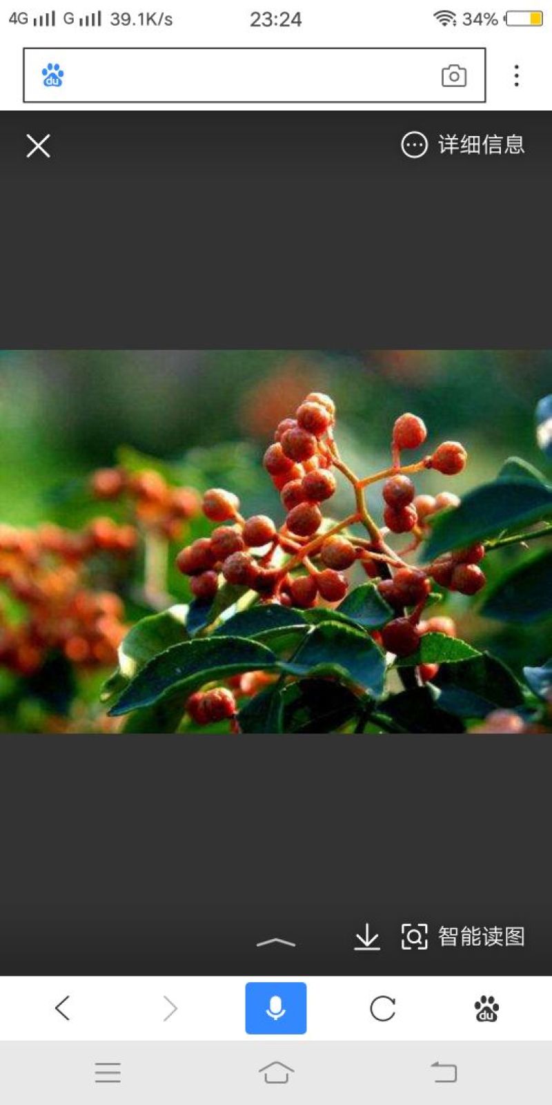 鲜花椒干花椒