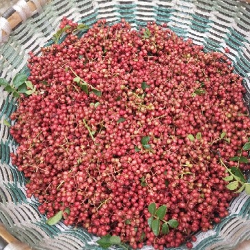 鲜花椒干花椒