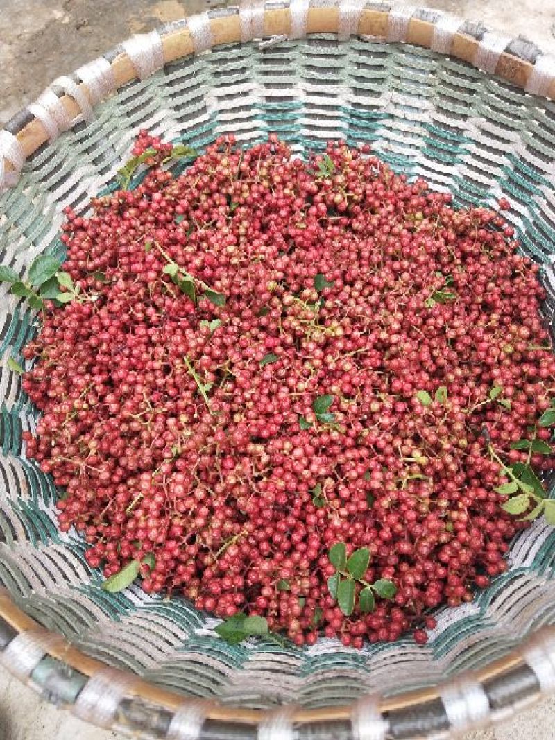 鲜花椒干花椒