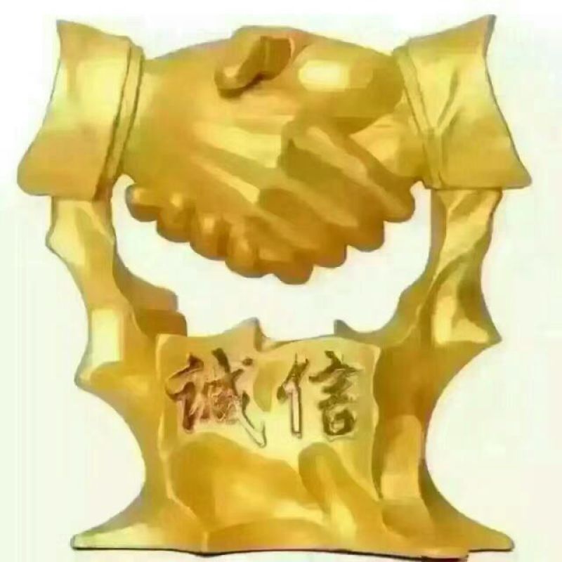 基地直供子弹头黑皮冬瓜20斤打底