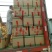 荷兰十五土豆精品3两以上