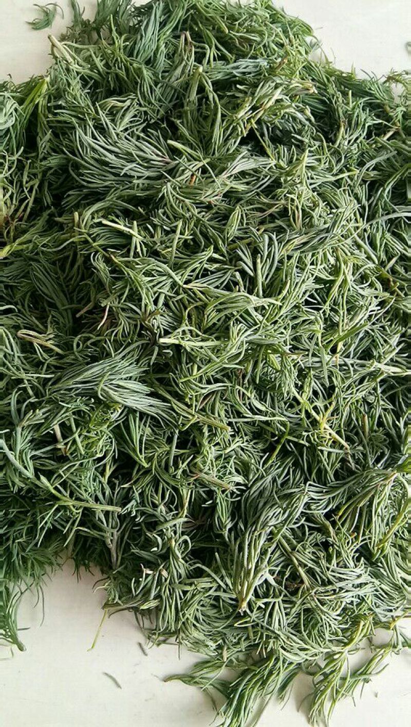 崔鑫黄河流域野菜，货发全国！！