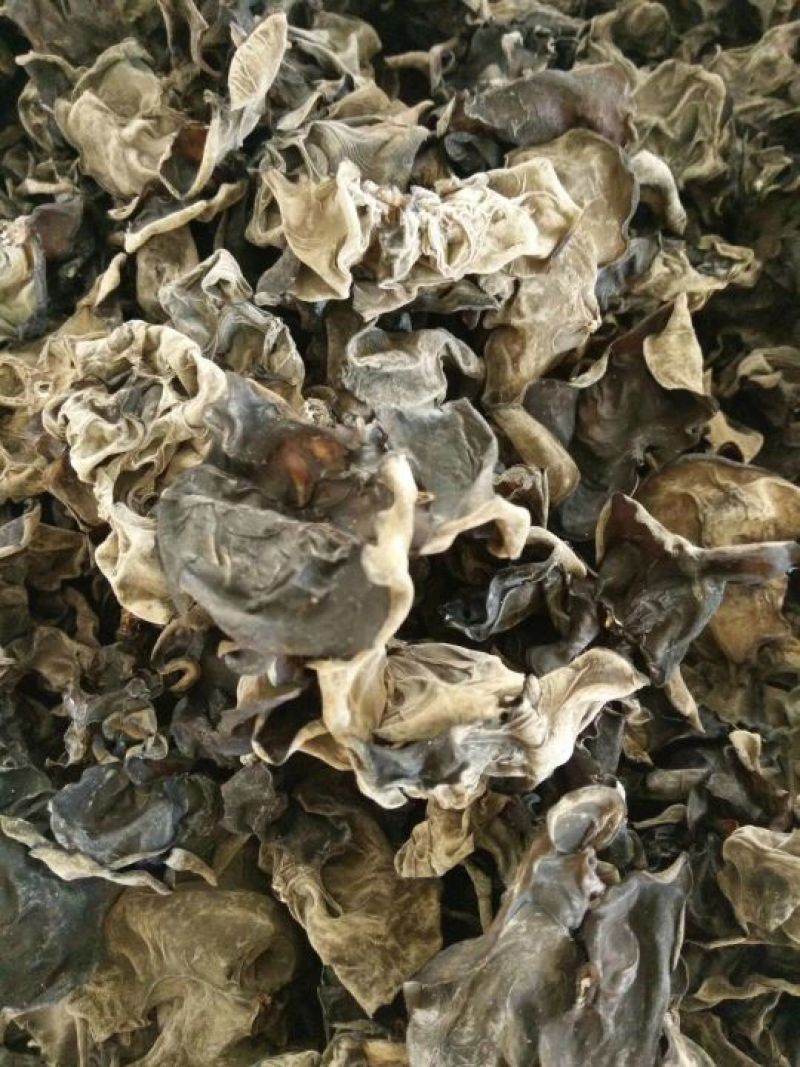 木耳特级