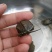 湖北大头草龟0.5斤以下